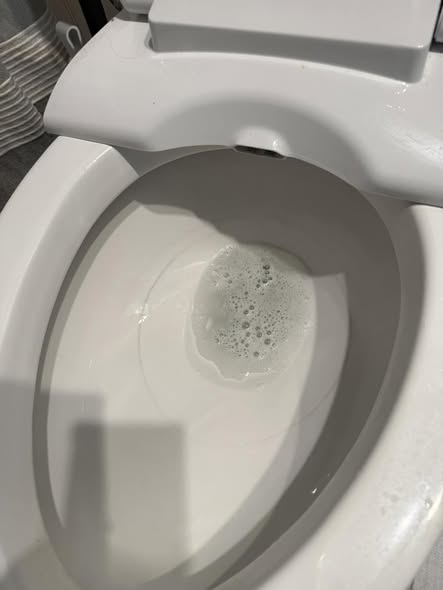 Clean toilet after detail cleaning